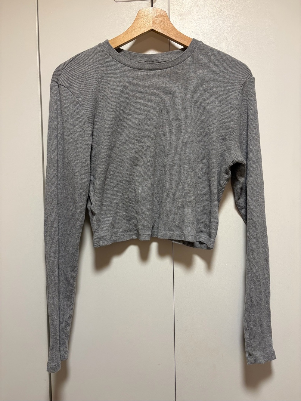 Aritzia TNA Ribbed Gray Long-Sleeve Cropped Crewneck Top